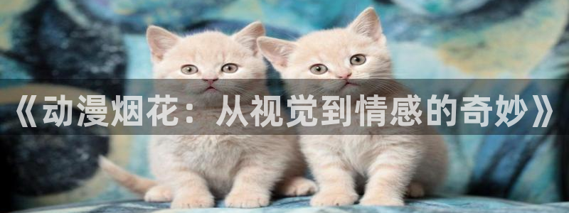 www.omofun：《动漫烟花：从视觉到情感的奇妙》