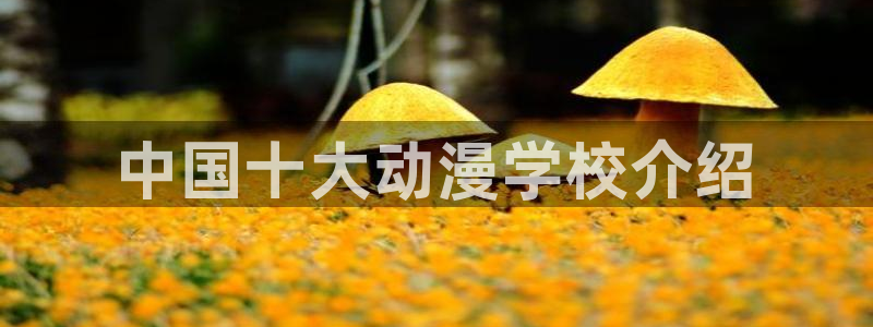 omofun官方app：中国十大动漫学校介绍