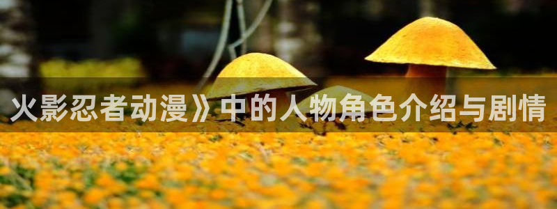 omofun动漫视频网提供最新最快的动漫新番：火影忍者动漫》中的人物角色介绍与剧情