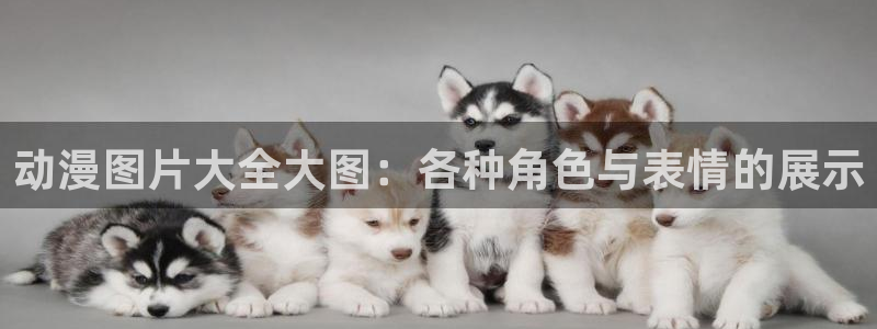 omofun.：动漫图片大全大图：各种角色与表情的展示