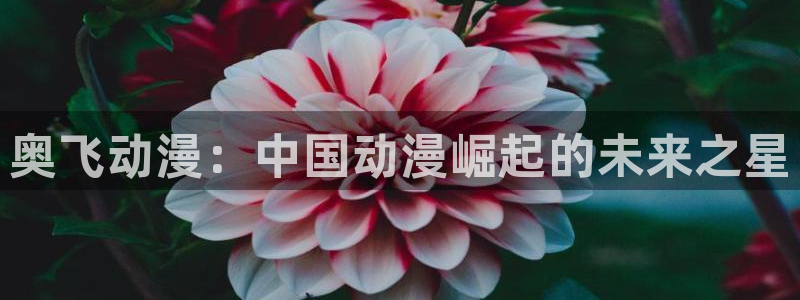 omofun.in：奥飞动漫：中国动漫崛起的未来之星