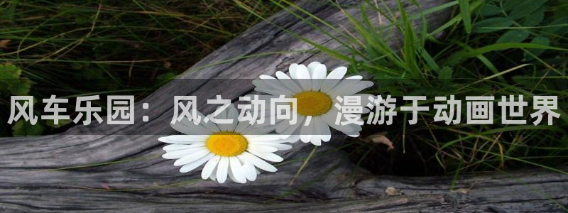 omofun动漫旧版本：风车乐园：风之动向，漫游于动画世界