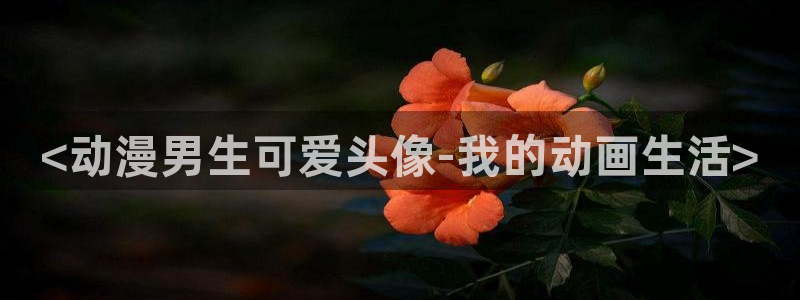 omofun有病毒吗：<动漫男生可爱头像-我的动画生活>