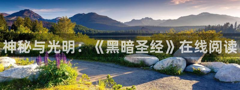 omofun正版下载安卓：神秘与光明：《黑暗圣经》在线阅读