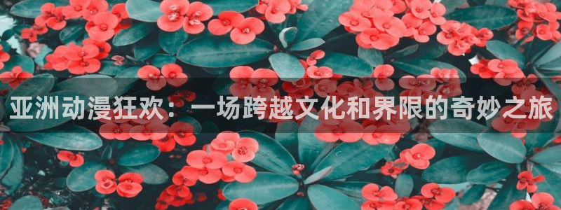 omofun动漫官网在线观看：亚洲动漫狂欢：一场跨越文化和界限的奇妙之旅