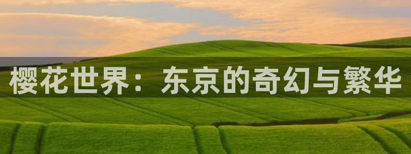 omofun.in：樱花世界：东京的奇幻与繁华
