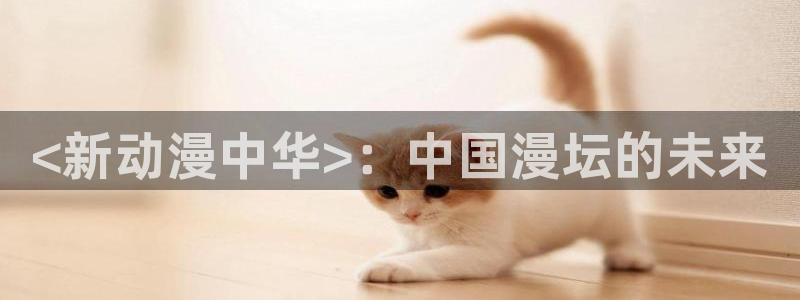 omofun在线观看：<新动漫中华>：中国漫坛的未来