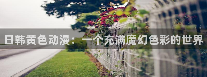 o站(omofun)官网：日韩黄色动漫：一个充满魔幻色彩的世界