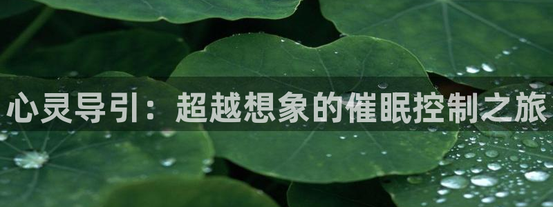 omofun正版下载ios：心灵导引：超越想象的催眠控制之旅