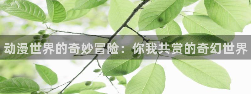 omofun下载官方正版网站：动漫世界的奇妙冒险：你我共赏的奇幻世界
