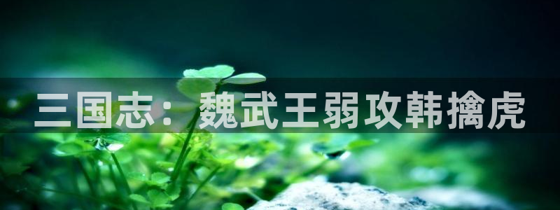 omofun网站入口：三国志：魏武王弱攻韩擒虎