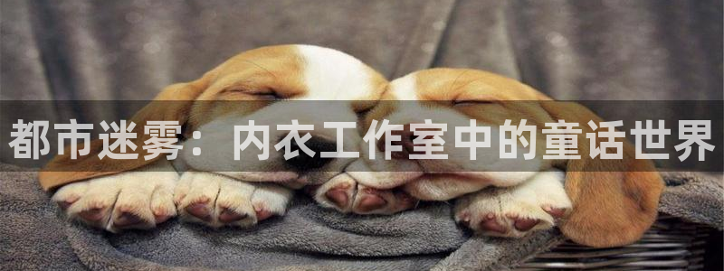 omofun最新下载