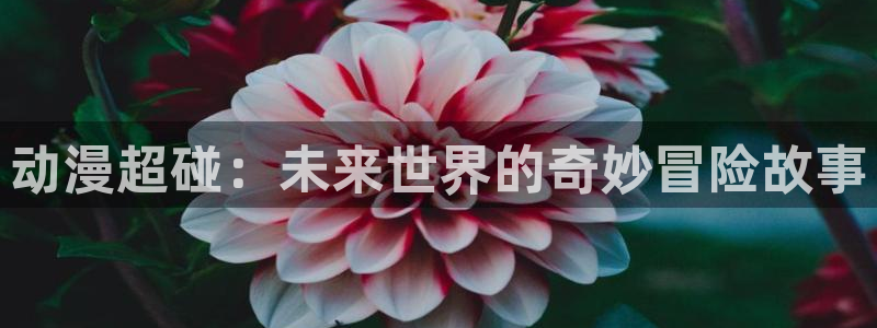 下载omofun动漫