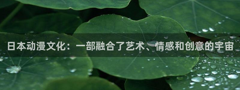 omofun在线观看免费动漫