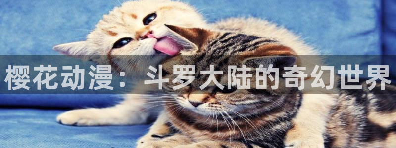 omofun怎么下