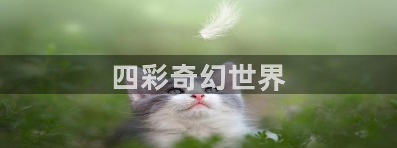 omofun动漫在哪下载
