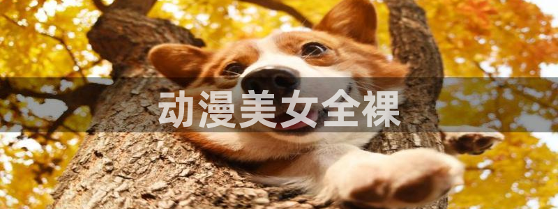 omofun.onl